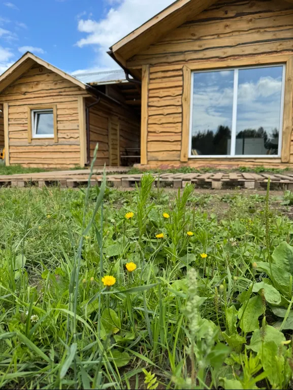 Дом с баней в лесу