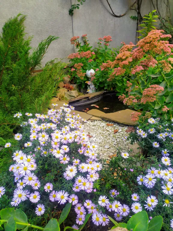 Частный дом с уютным двориком недалеко от центра