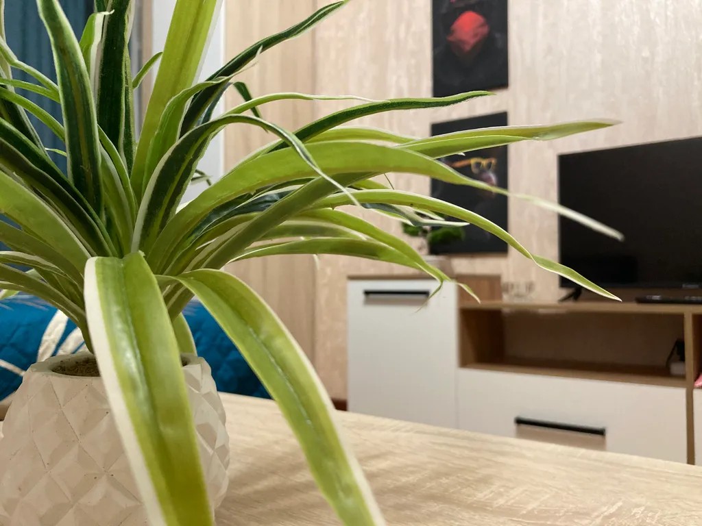 Уютная теплая квартира в центре города