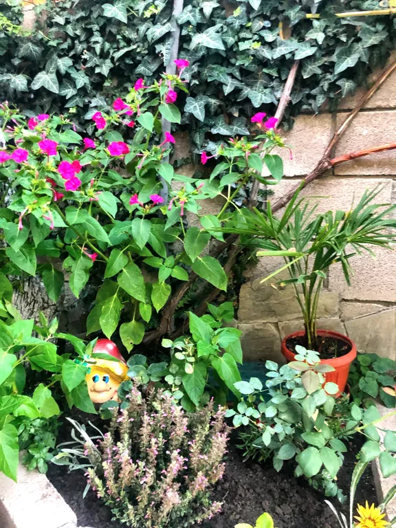 Апартаменты с личным двориком