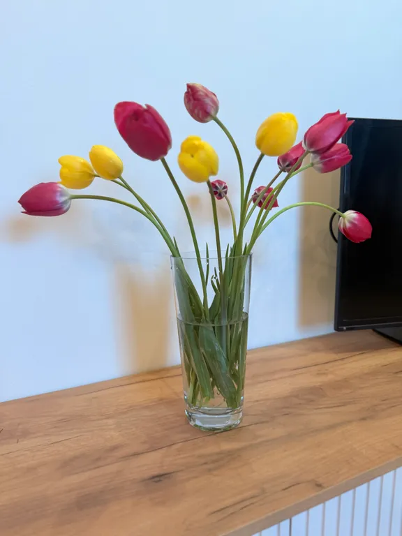 Уютная мансарда в самом центре