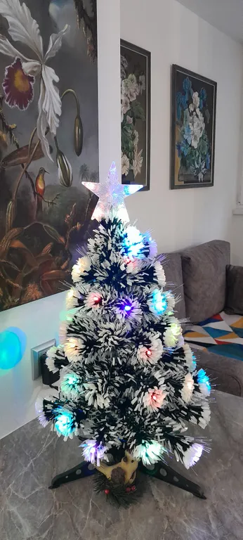 Квартира Белиссимо