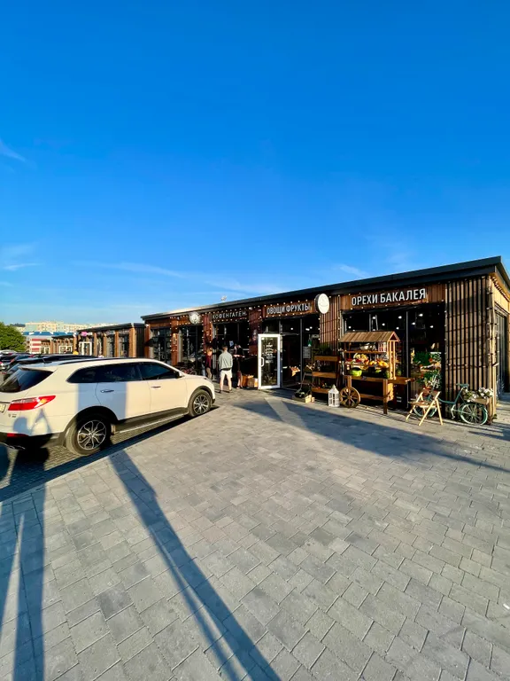 Квартира Большая уютная квартира для вас — Светлогорск