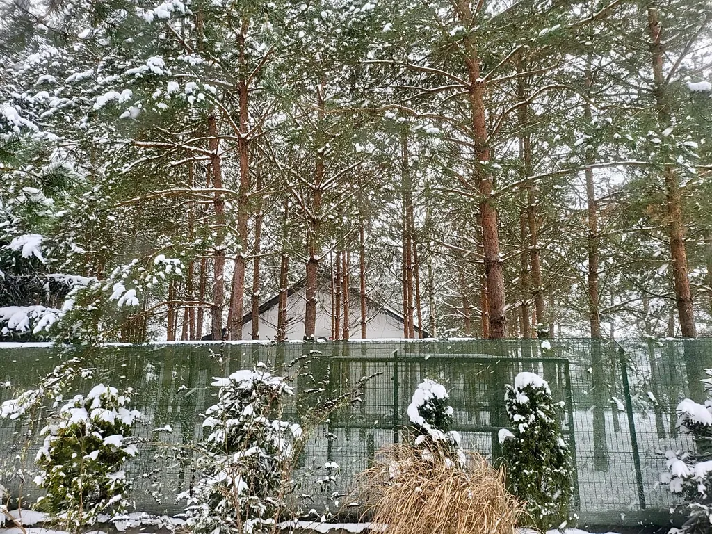 Уютный дом в лесу на 3 семьи