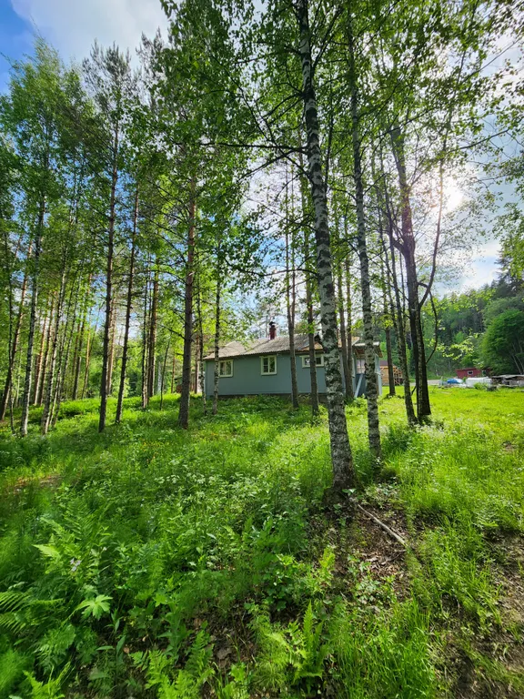 Коттедж 36m2 — чан, уединение в природе, отсутствие интернета
