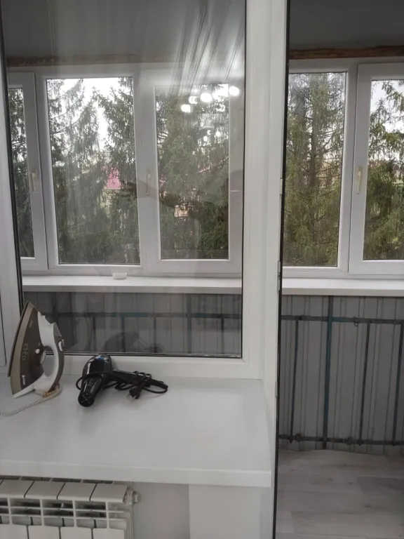 Квартира с видом на ели