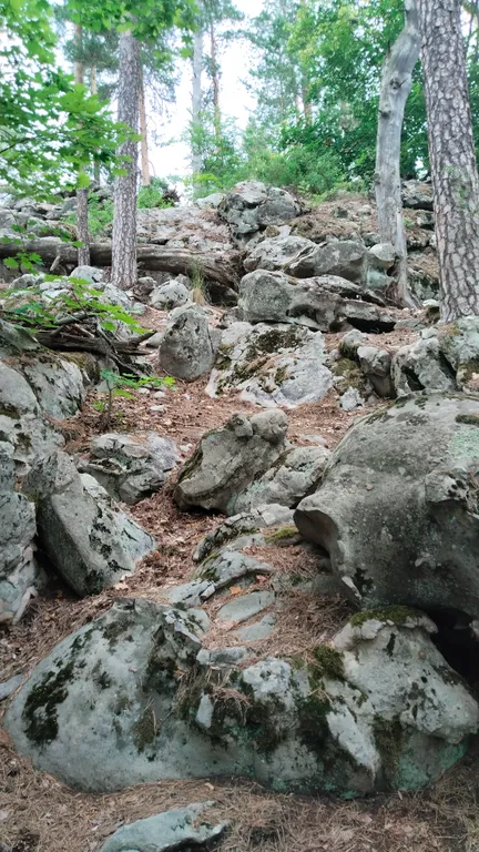 Гостевой домик