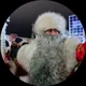 Роман