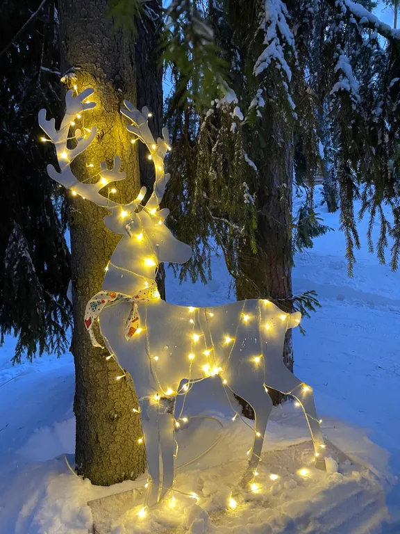 Карельская Дача Уютное шале с камином в сосновом бору, берег Сямозера