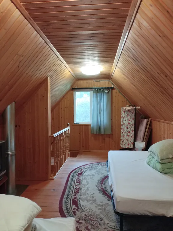 Выход из суеты - не дача Бобёр и Соловьи