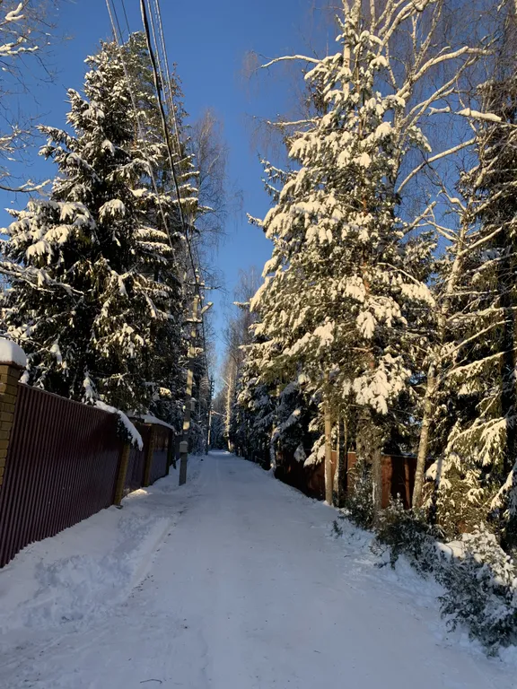 Коттедж Загородный уютный дом с баней и калиткой в лес — Большие Семенычи