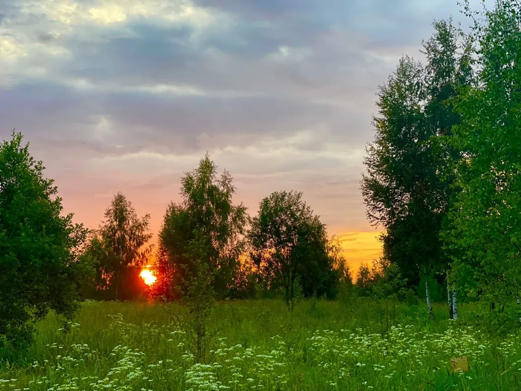 Загородный дом для отдыха