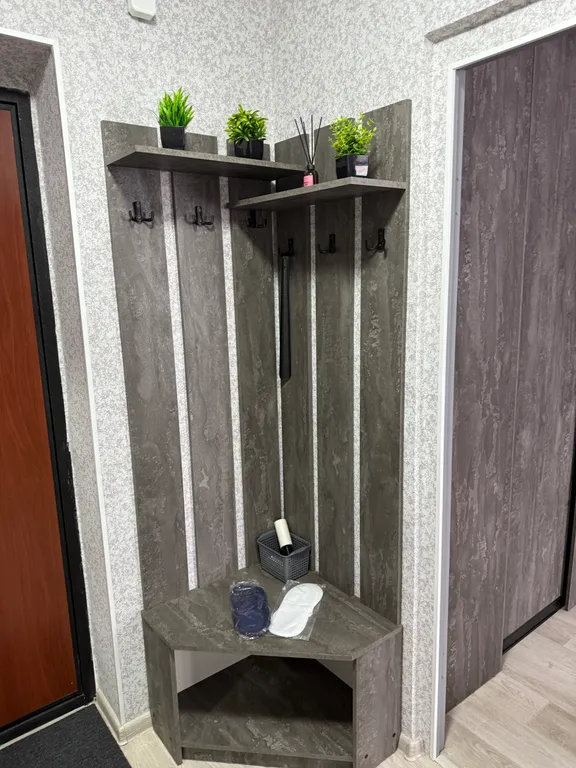 Уютная однокомнатная квартира