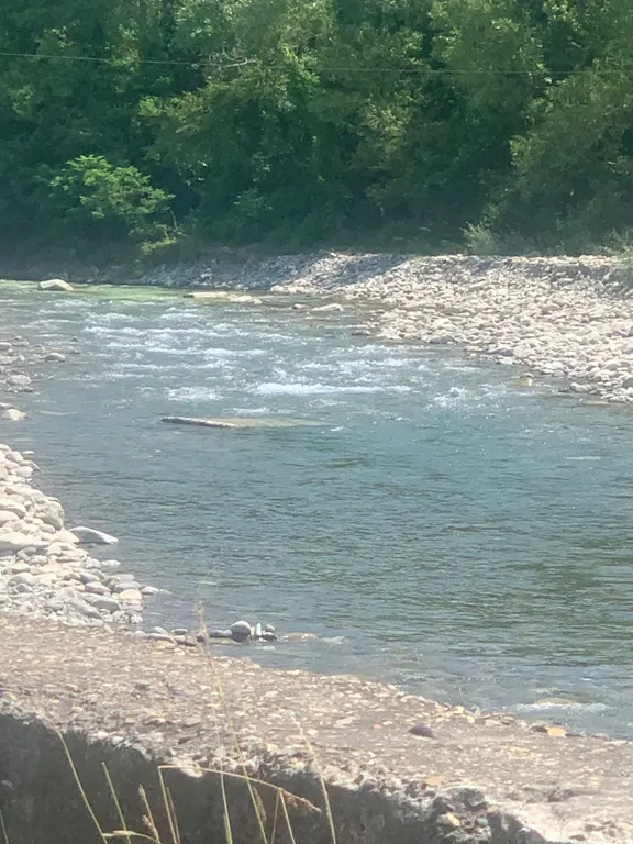 Квартира Комната — Лазаревское