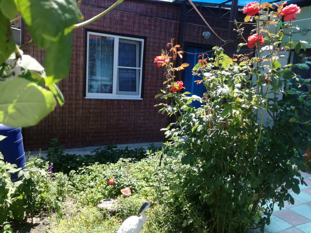 Летний домик