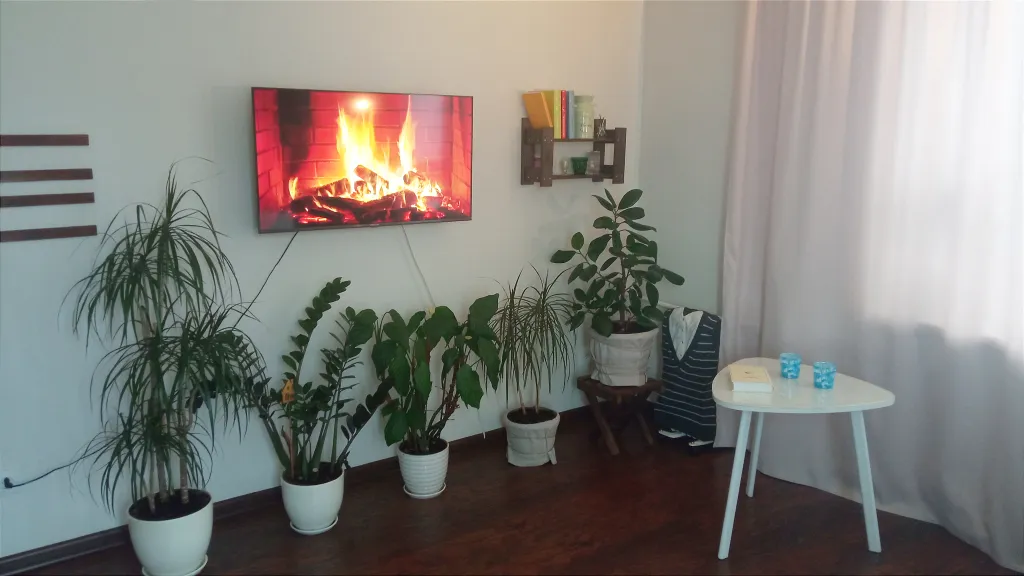 Вид на Петергоф