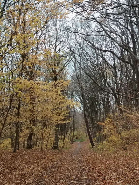 Домик у моря