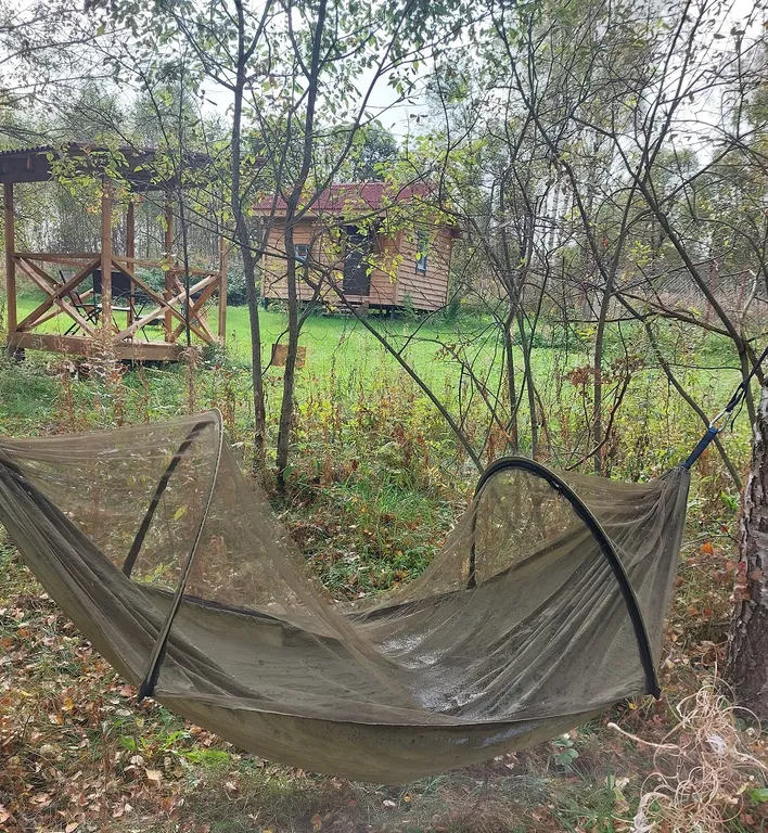 Уютный домик в заповедном лесу