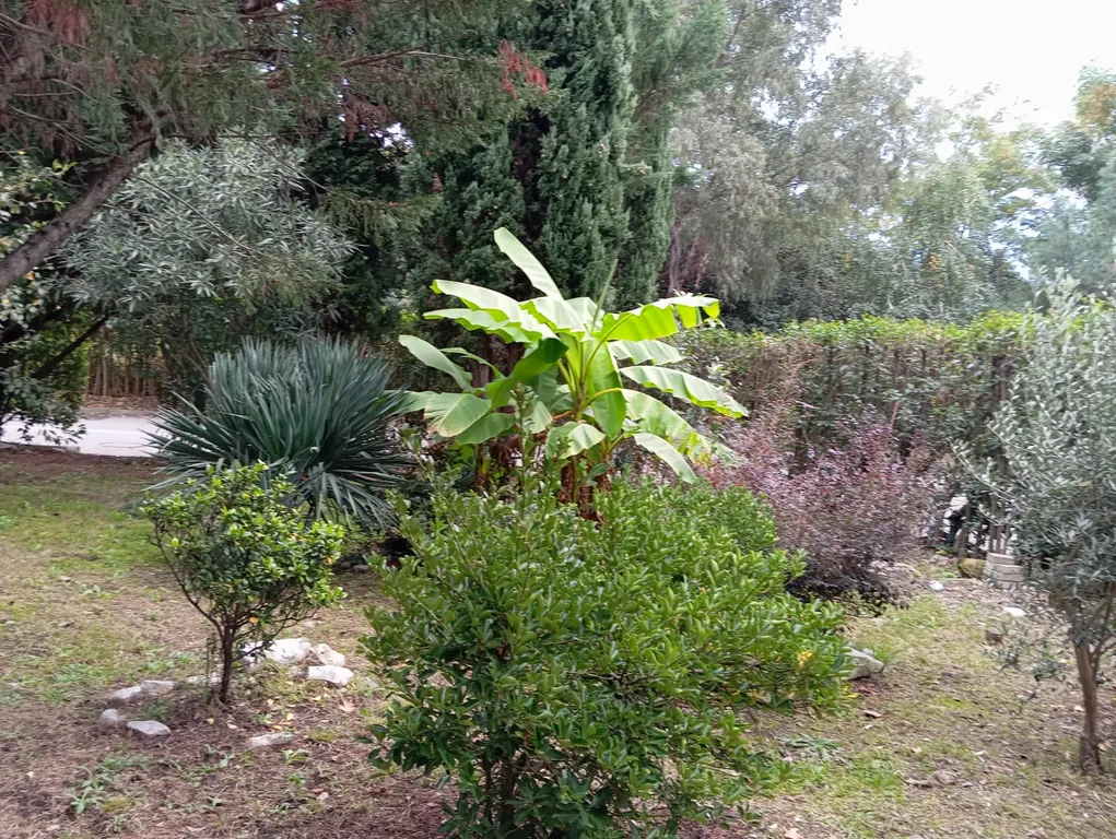 Квартира Квартира Уютная студия — Сириус