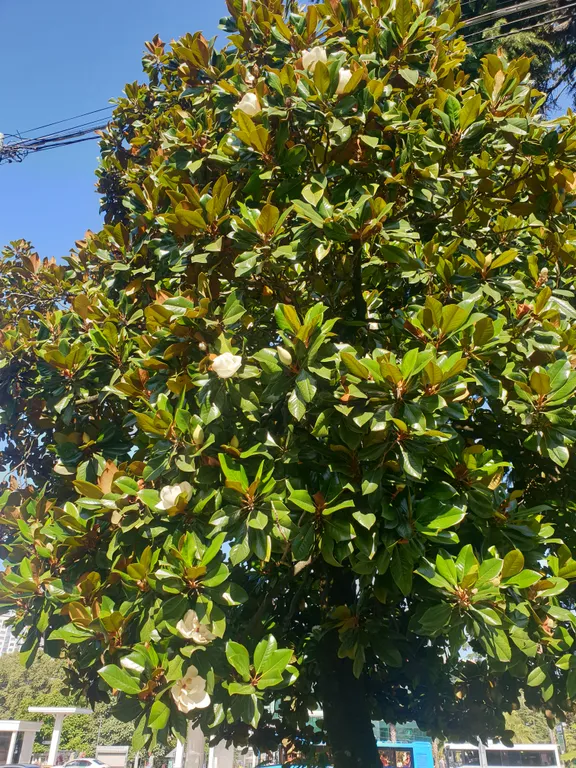 Дом на море