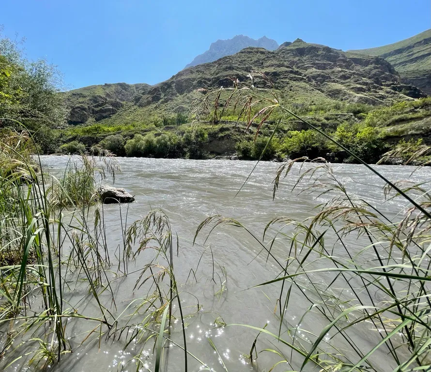 Коттедж Дом в саду Дорголи — Чирката