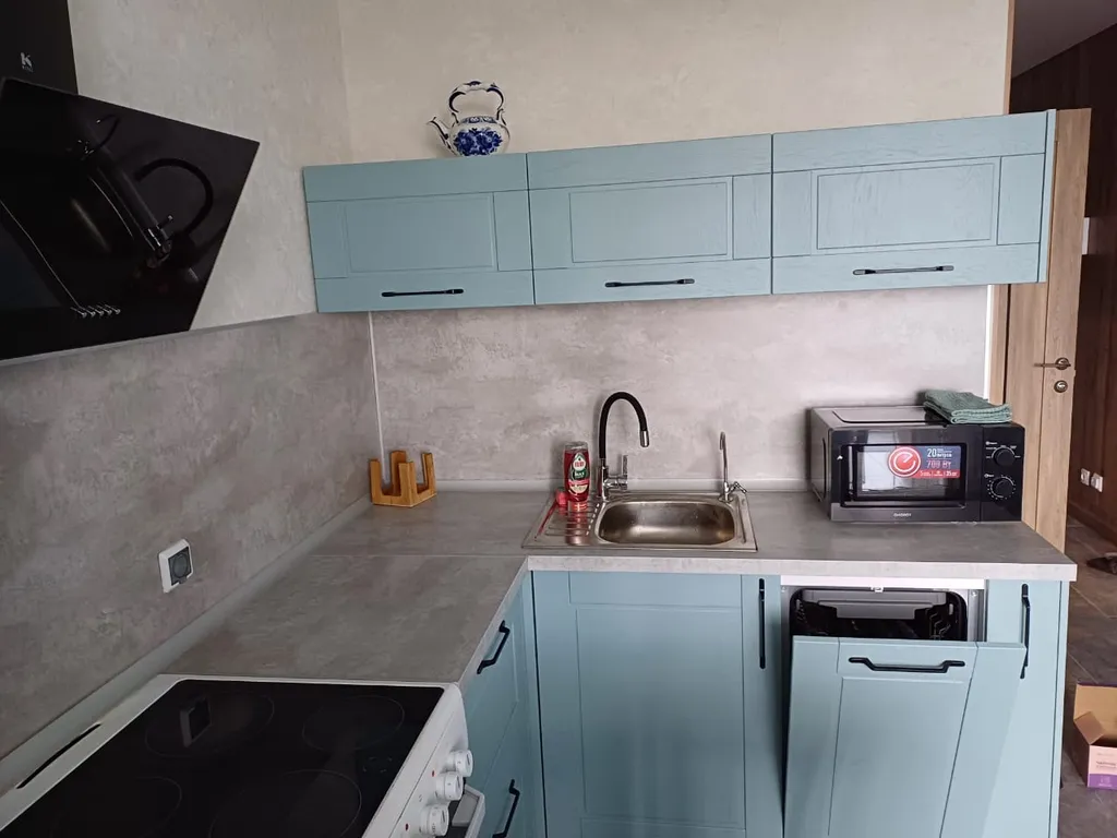 1-комнатная   квартира с видом на финский залив