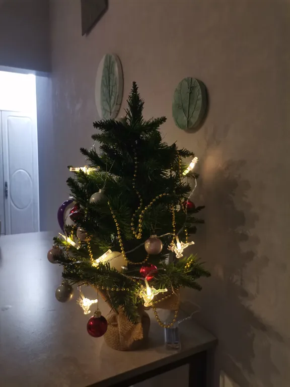 Уютная квартира-студия