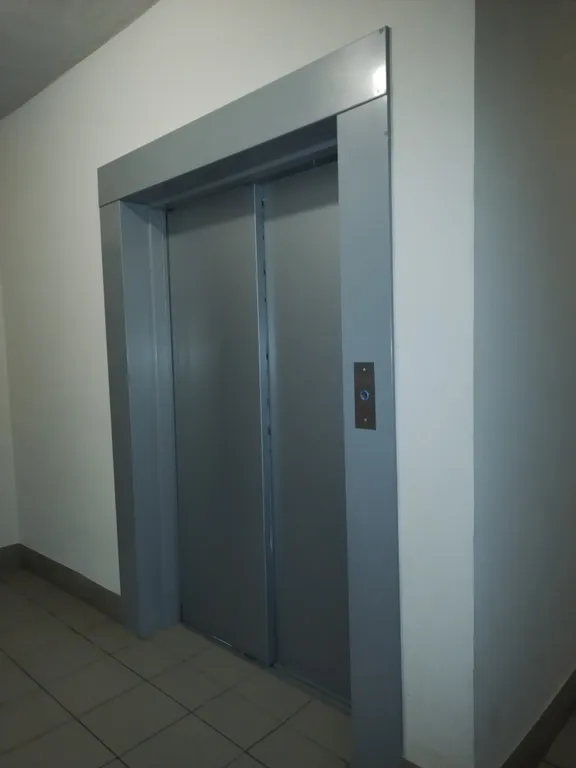 Квартира с кухней-гостиной рядом с озером Разлив