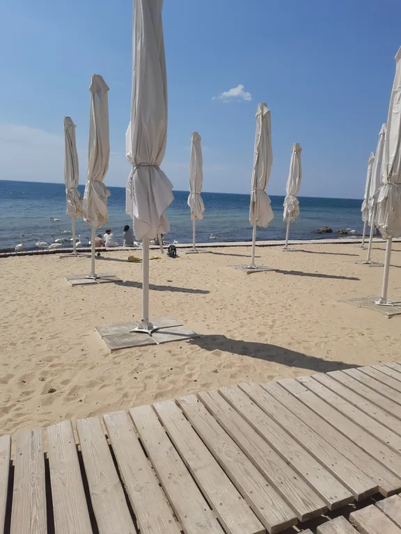 Студия Пушкина рядом с морем