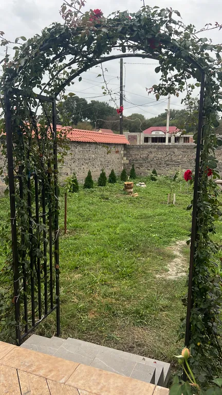 Коттедж у моря и лианового леса