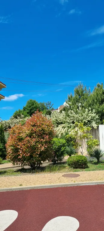 Коттедж с видом на море