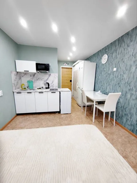 Светлая гостинка, свежий ремонт, 4 спальных места