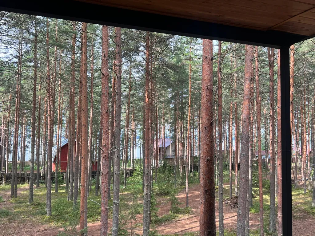 Коттедж Уютный большой дизайнерский дом в лесу Селигера на берегу озера Волго — Турбаза Чайка