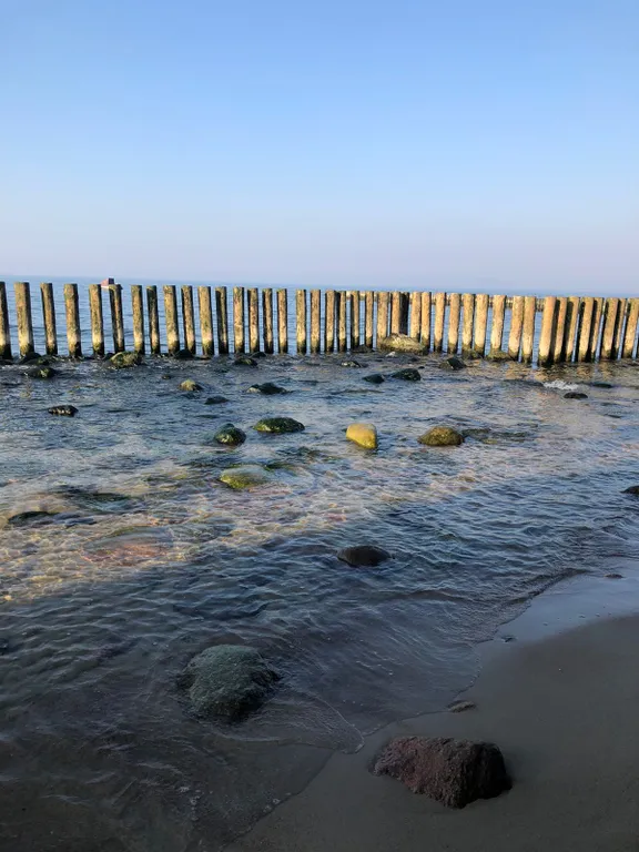 Квартира Апартаменты в двух минутах от моря — Светлогорск