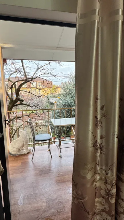 Квартира 1-комнатная Квартира — Сириус