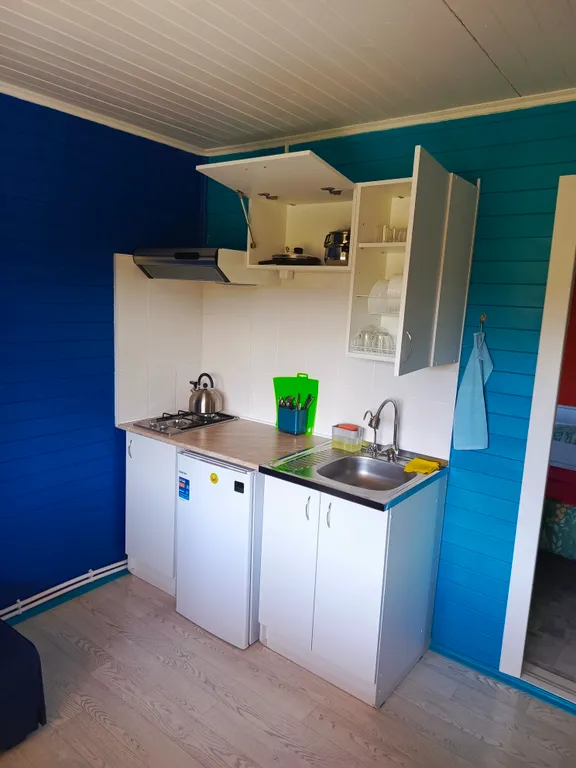 Коттедж Коттедж на базе отдыха Карловка — Чудово