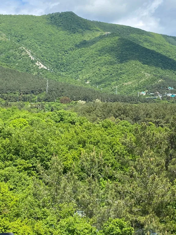 Квартира Квартира у моря — Геленджик