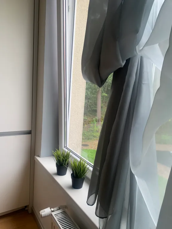 Квартира Уютная квартира в центре города с лесным массивом . — Светлогорск