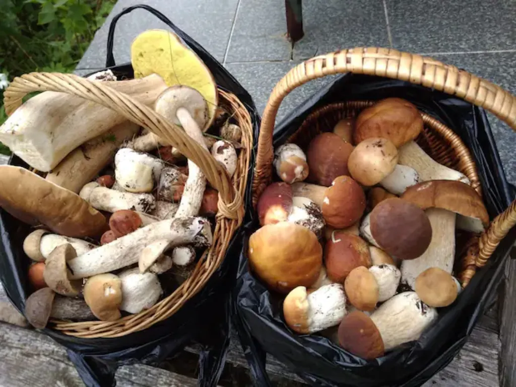 Уютный домик