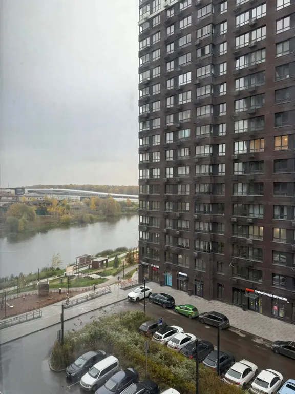 Joy прокшинский