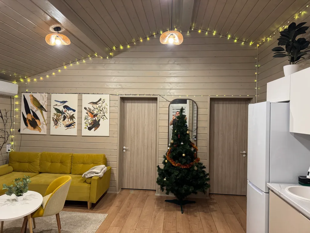 Дизайнерский дом возле истринского водохранилища