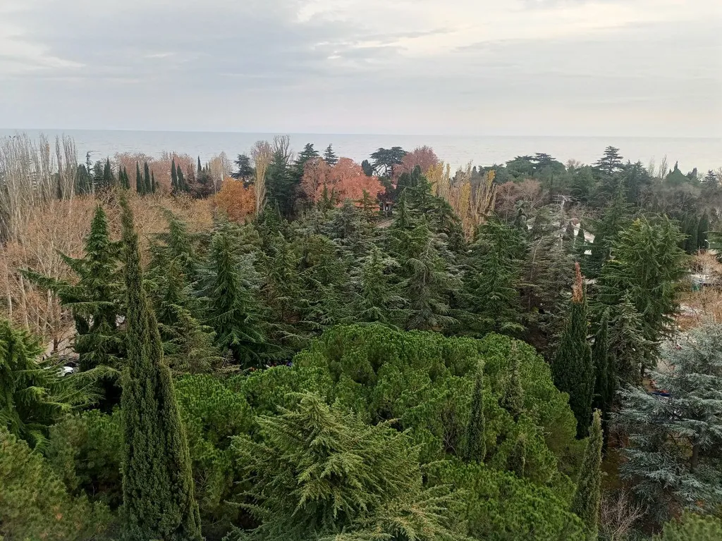 Студия у моря