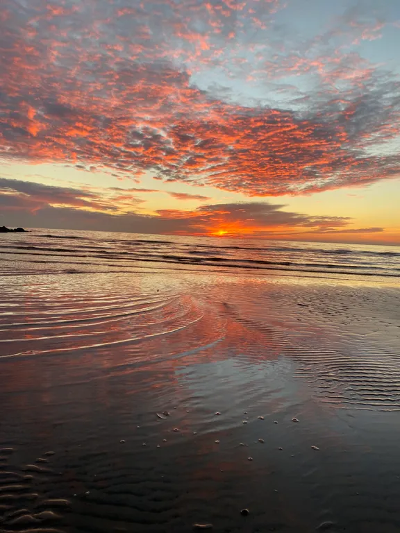 Апартаменты на берегу Финского залива