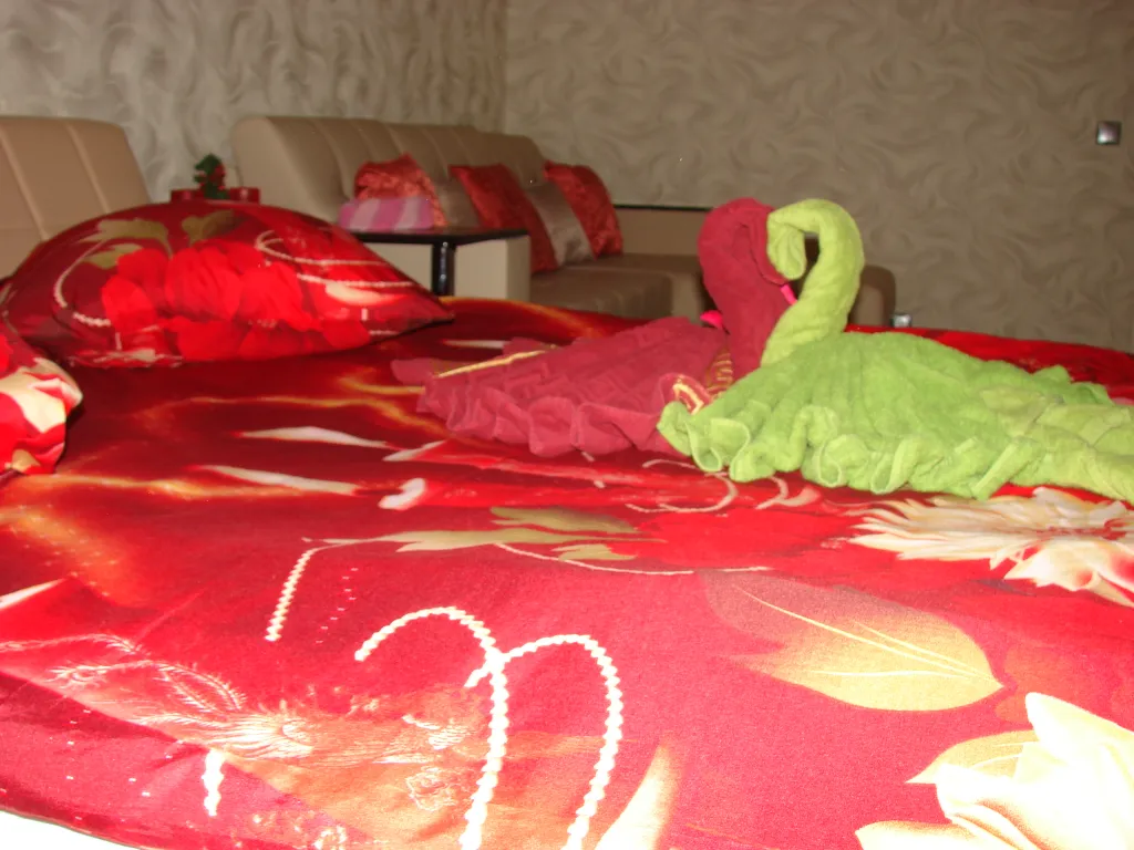 Уютная квартира в Гатчине