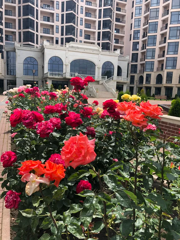 Квартира с великолепным видом в ЖК Грин Парк