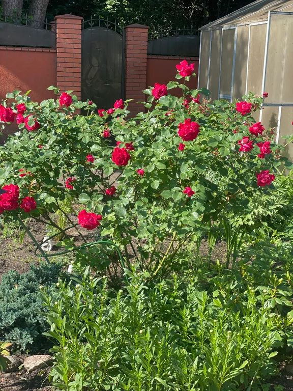 Уютный дом с русской банькой