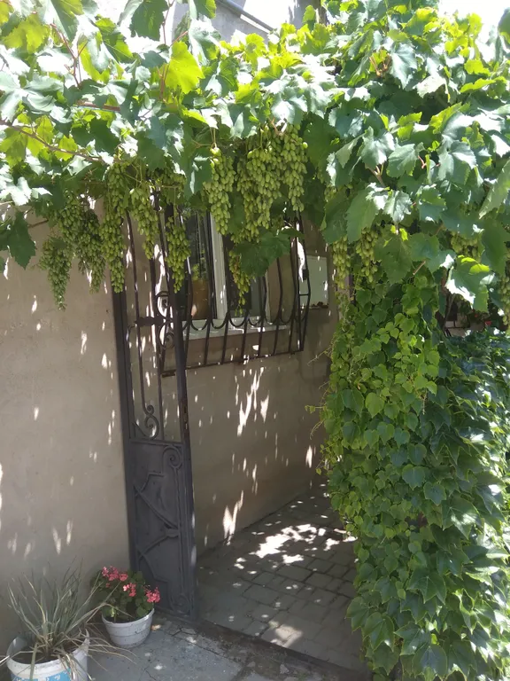 Уютная квартира в курортной зоне