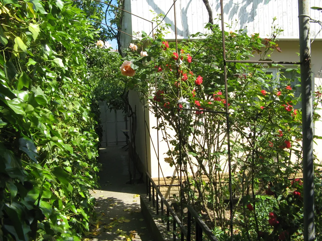 Коттедж Капитальный домик с отдельным входом в нижней части города — Ялта