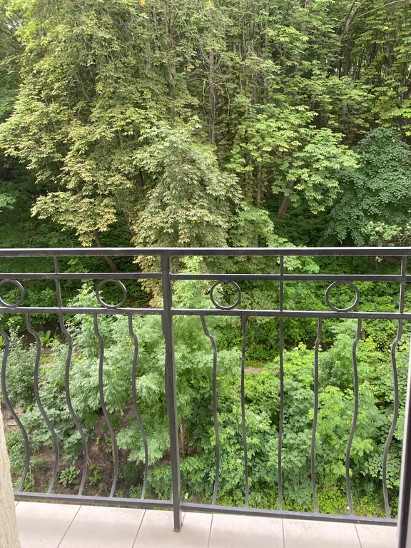 Апартамент с видом на парк