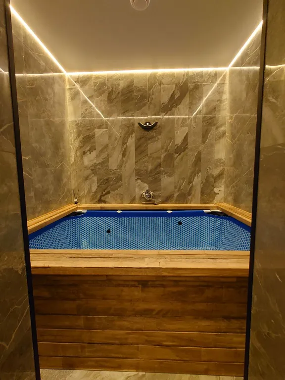 Дом с баней и бассейном на большую компанию